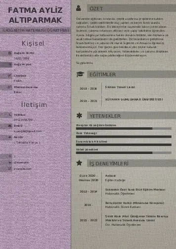 Matematik Öğretmeni Cv Örnekleri cv indir